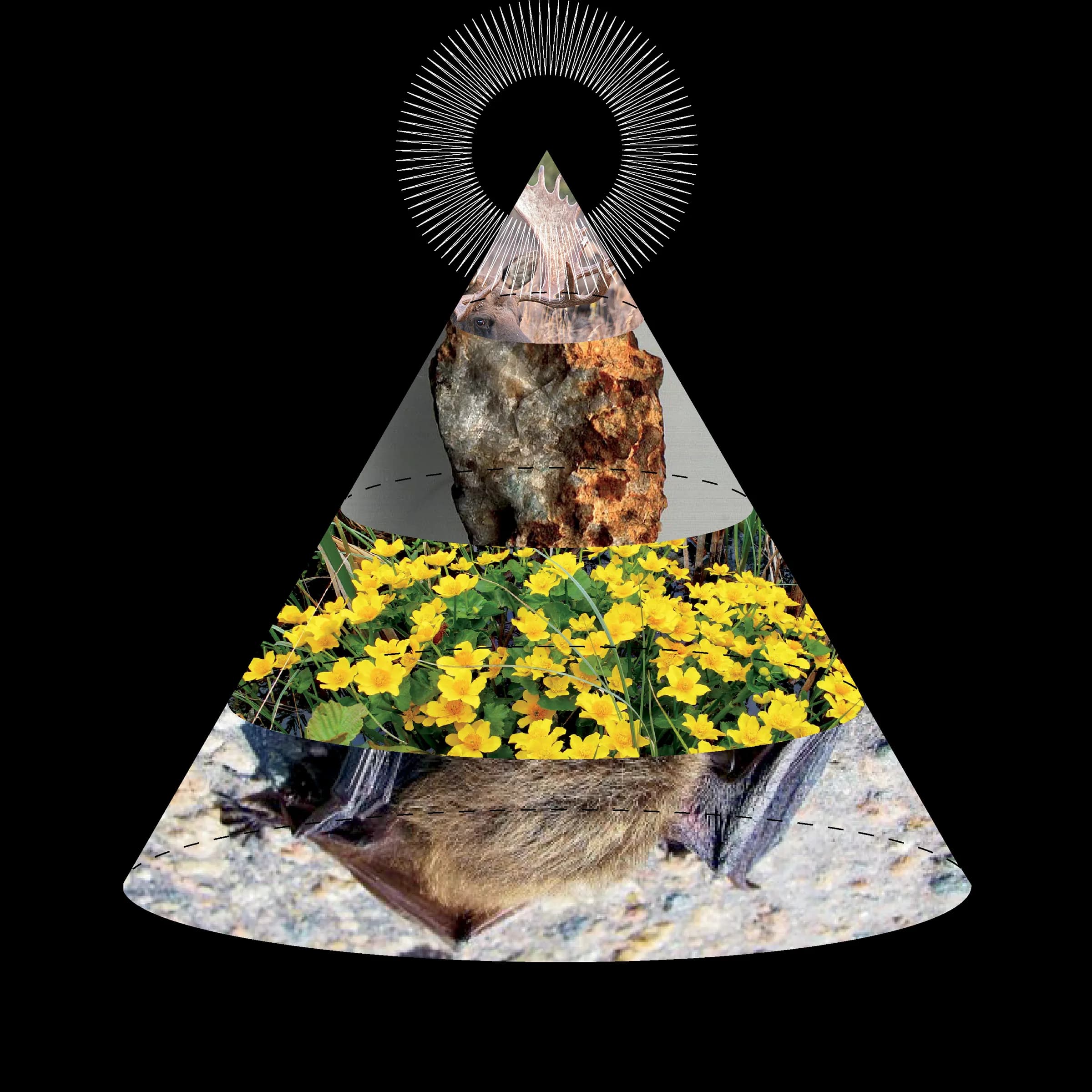 Towards a Theory of Unified Knowledge